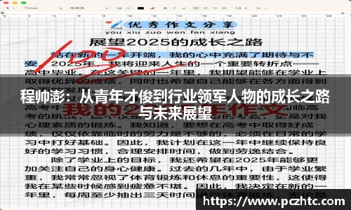 程帅澎：从青年才俊到行业领军人物的成长之路与未来展望